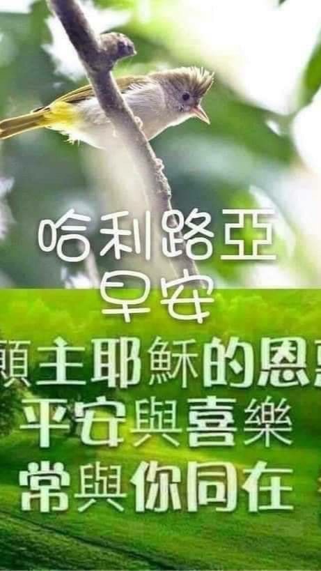 聖經早晚安圖