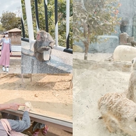 高雄景點【壽山動物園】台灣值得一遊,直接安排好有趣又含療癒感的親子行程