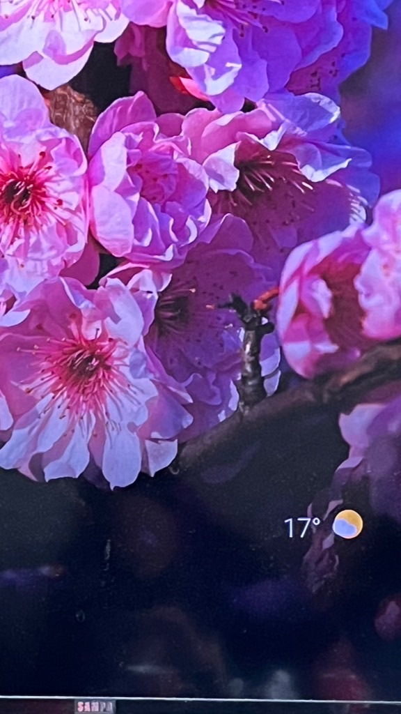 長鴻清潔工程