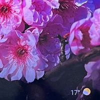 長鴻清潔工程