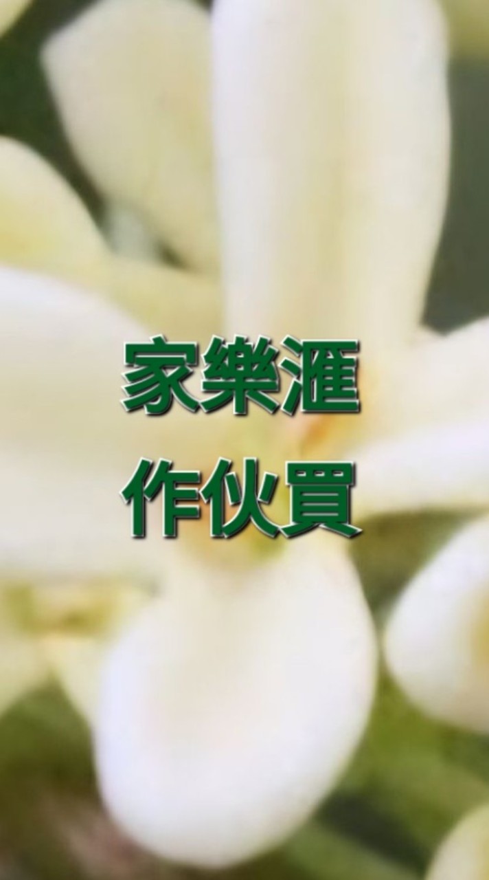 家樂滙作伙買