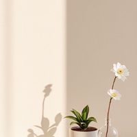 療癒指引所｜愛咪老師