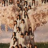 新・櫻坂46（欅坂46）【🌸Buddiesの集い🌸】