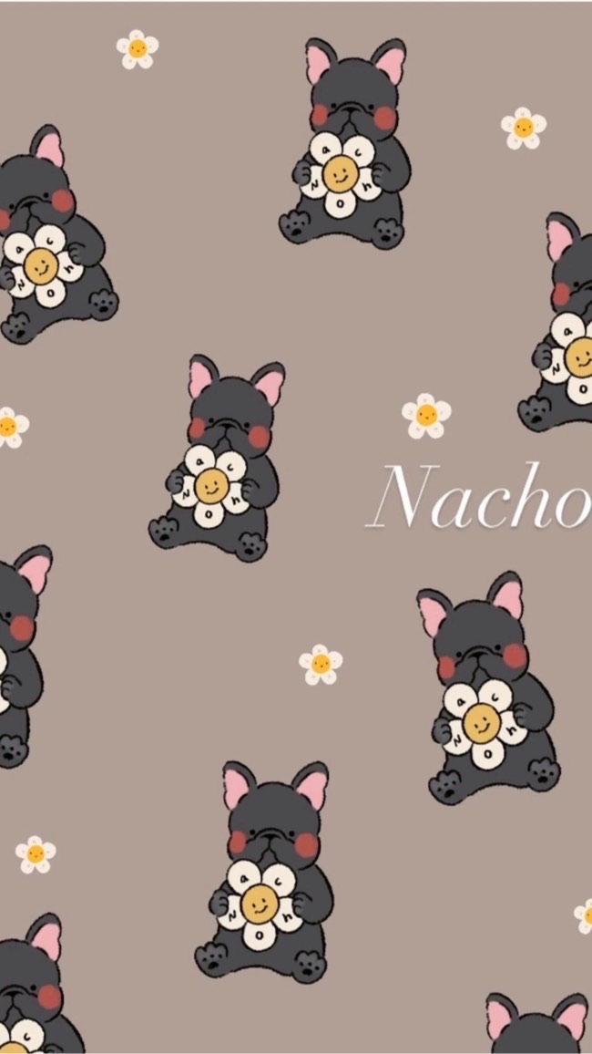 Nacho黑狗2群（開放發言）