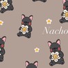 Nacho黑狗2群（開放發言）