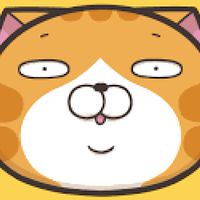 白爛貓
