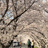 バイク好きのちょっと変わった部屋【関西発信、九州から北海道まで】