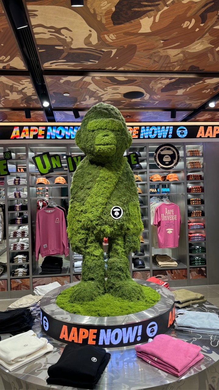Tuu on tour 代購 Aape🦍