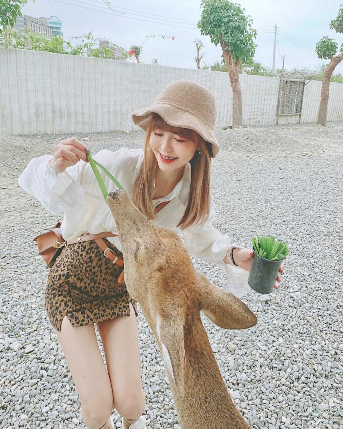 墾丁景點、墾丁一日遊