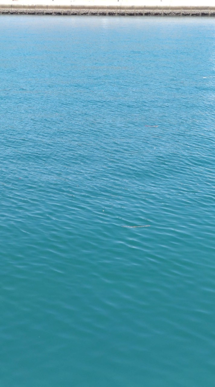 お月様の海　　　　　　友達・親友