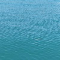 お月様の海　　　　　　友達・親友