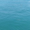 お月様の海　　　　　　友達・親友