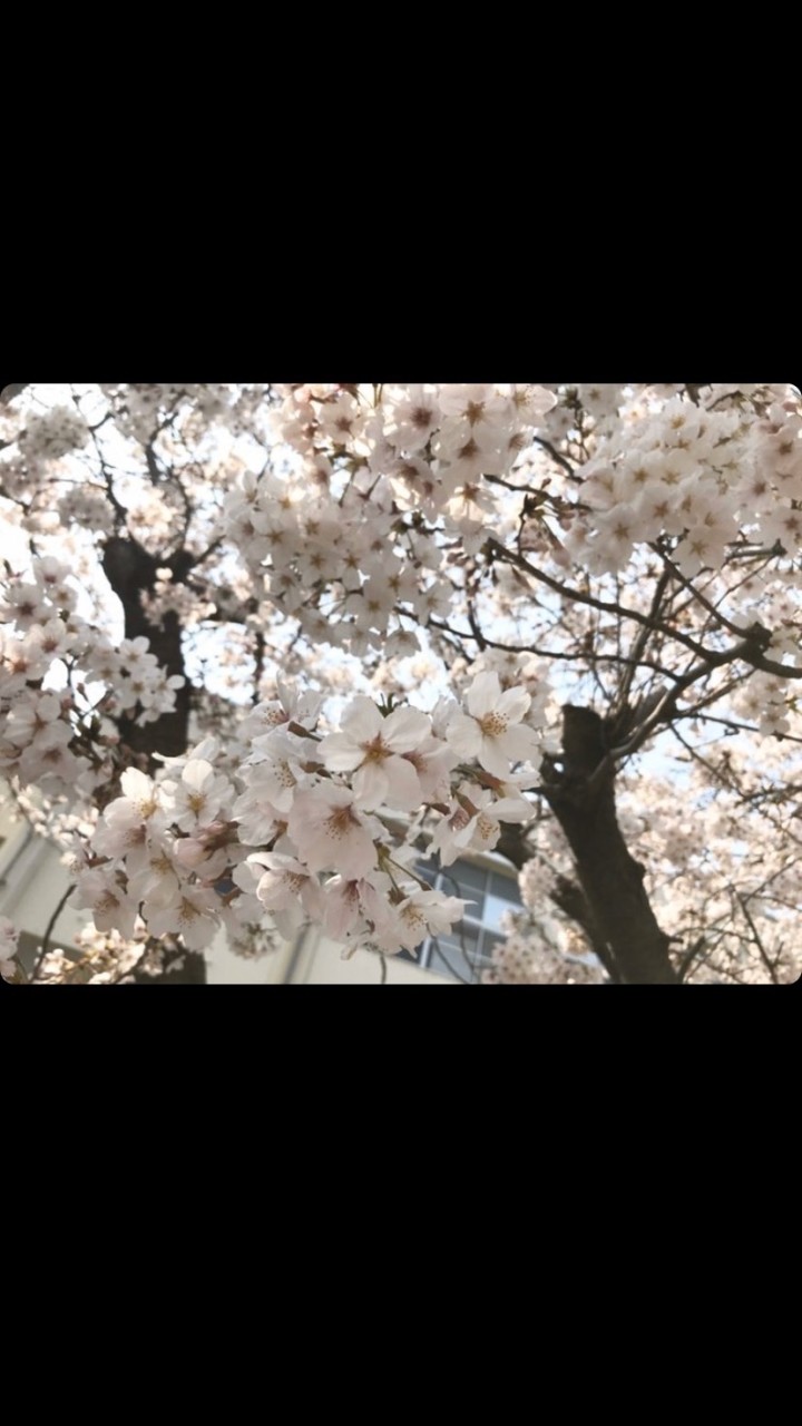 CRPS 複合性局所性疼痛症候群