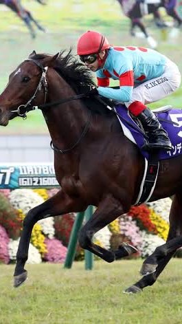 ゆる競馬サークルのオープンチャット