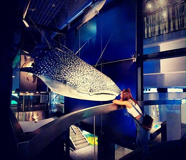 圖片授權：IG @wendy70091