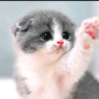 โรงเรียน💗😽𝑝𝑟𝑎𝑛𝑔