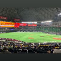 野球観戦好きな方、ホークスファンの方