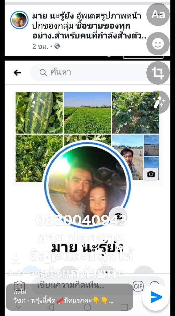 ส่วน​แตงโม​ป้า​โต​จ้า.. หลิน.ขาย​อิสระ​จร้า​0️⃣8️⃣2️⃣0️⃣0️⃣4️⃣0️⃣9️⃣4️⃣3️⃣..