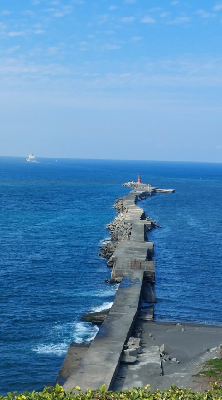 林清河家族樹
