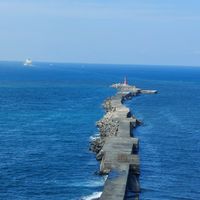 林清河家族樹