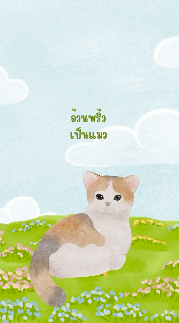 อ้วนพริ้วเป็นแมว 🐱