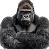 🦍ゴリと楽しむ雑談部屋🦍