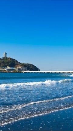 湘南波情報