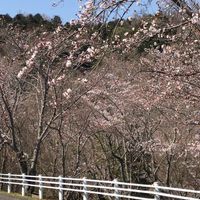 近畿大学農学部オープンチャット(非公式)