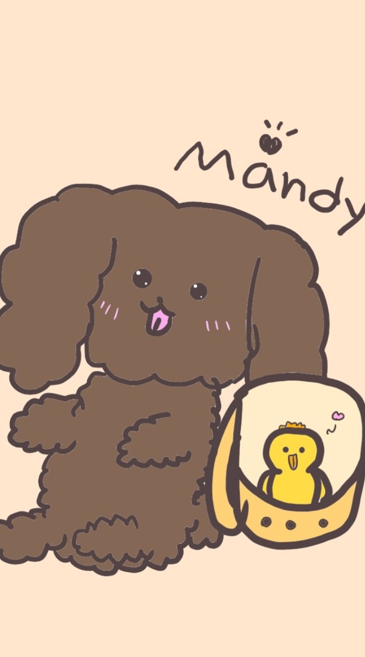 朋友圈