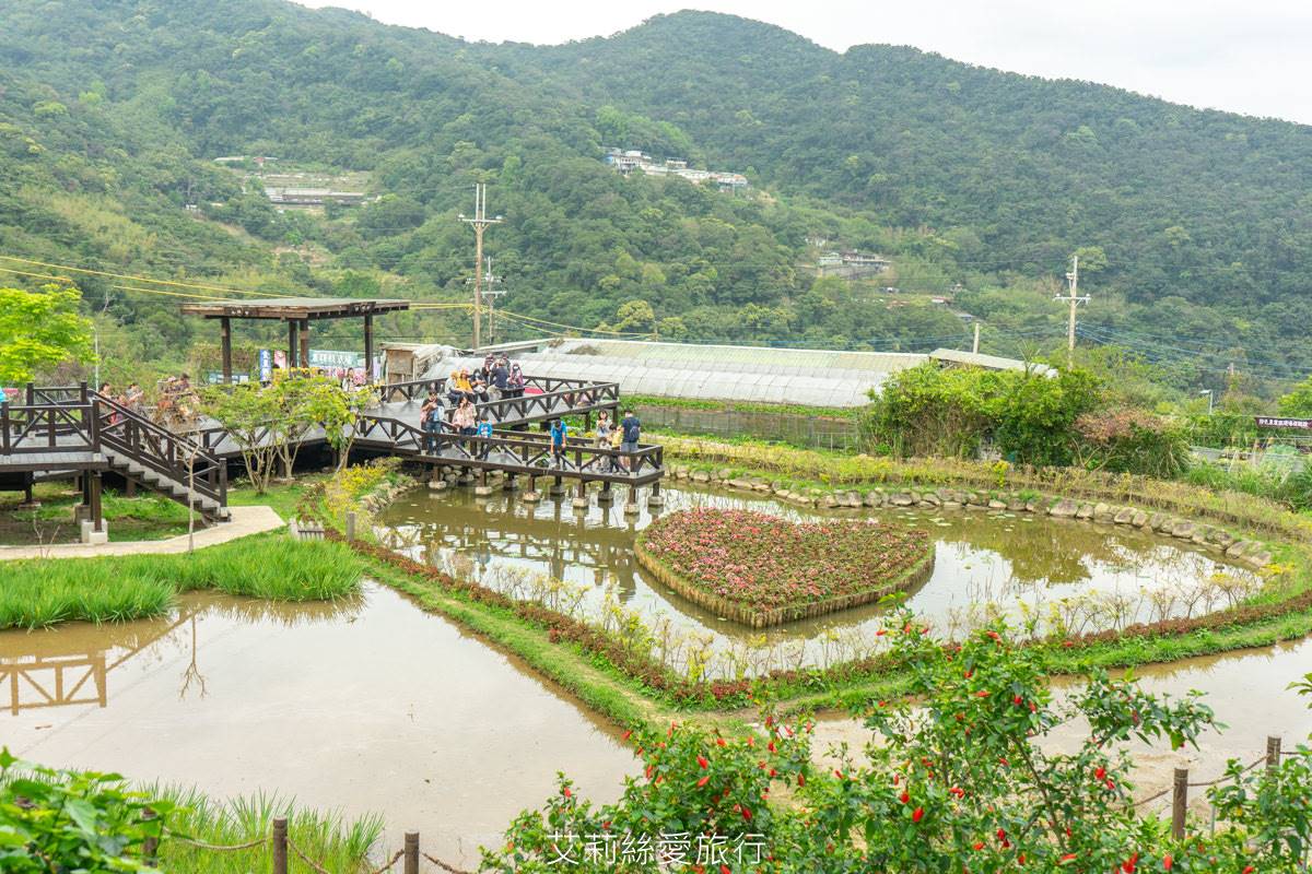 輕鬆好走不費力！內湖６條森林步道：80米「S型空中長廊」、紫色龍形吊橋