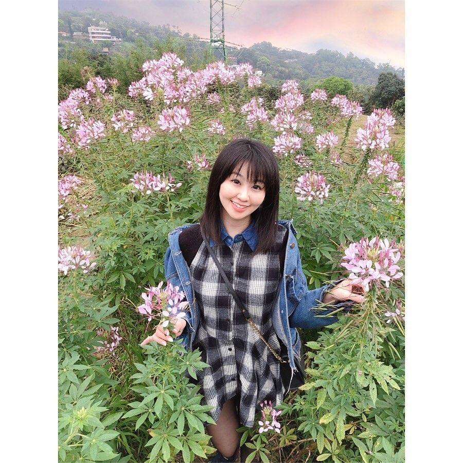 貓空一日遊2020,貓空景點,貓空,貓空纜車,樟湖步道,樟樹步道