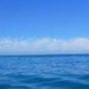 中山大學海軍官校EMI課程教師社群