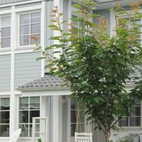 シェアハウスに住みたい！住んでます！