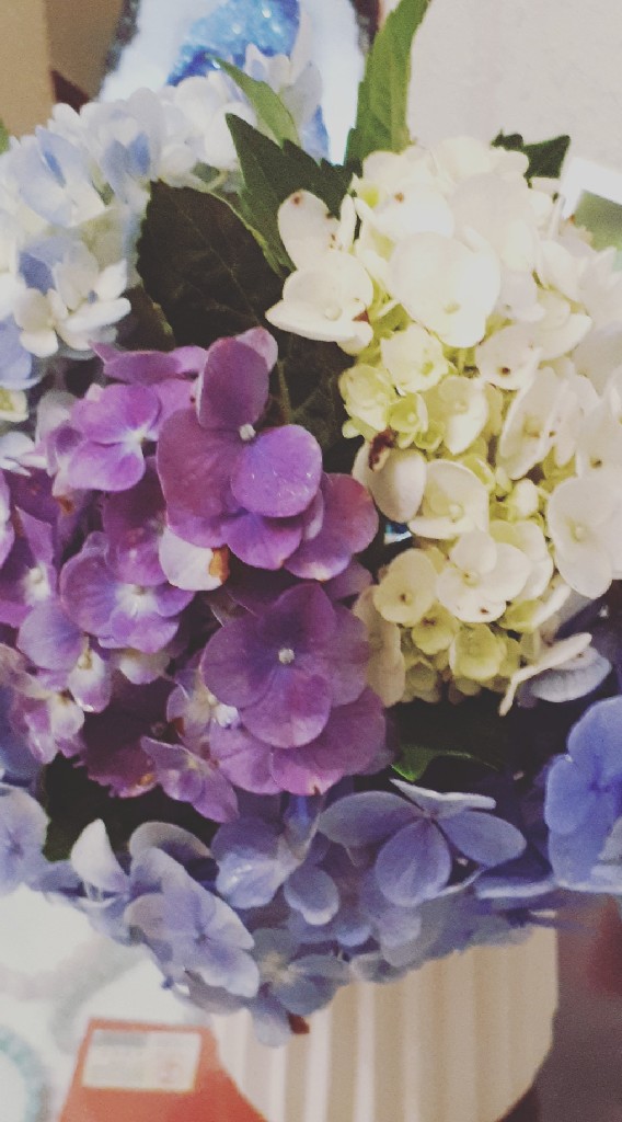另類醫療 水晶療法 花精療法 園藝療法 寵物療法 中醫 針灸