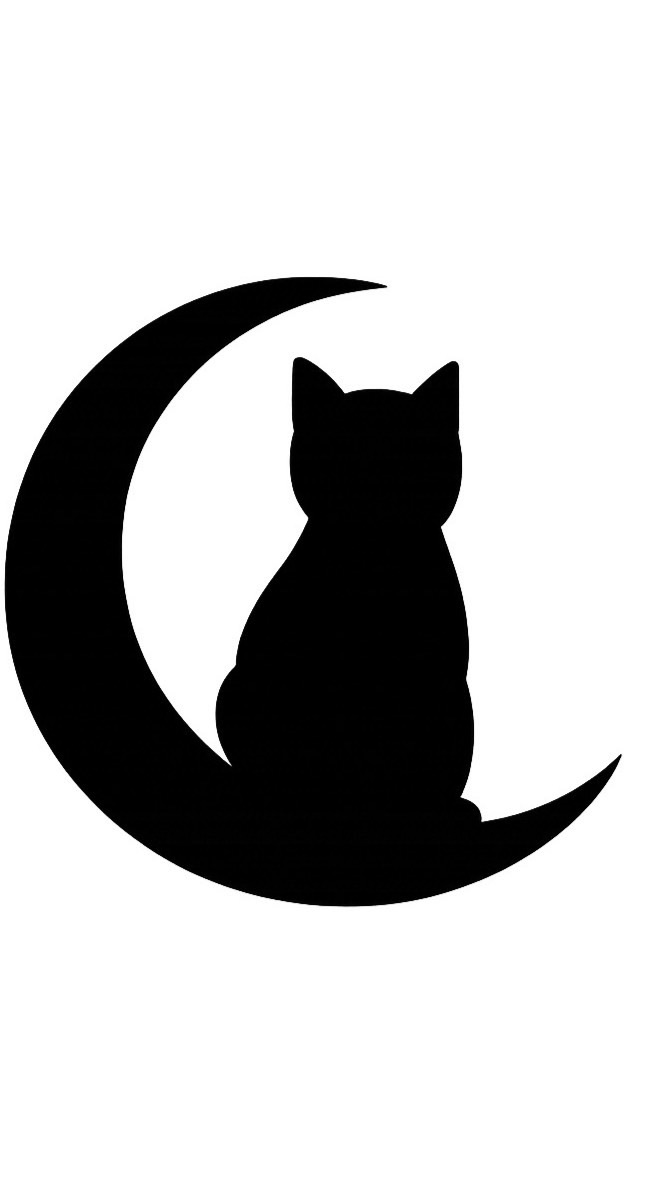猫民🤍🐈‍⬛