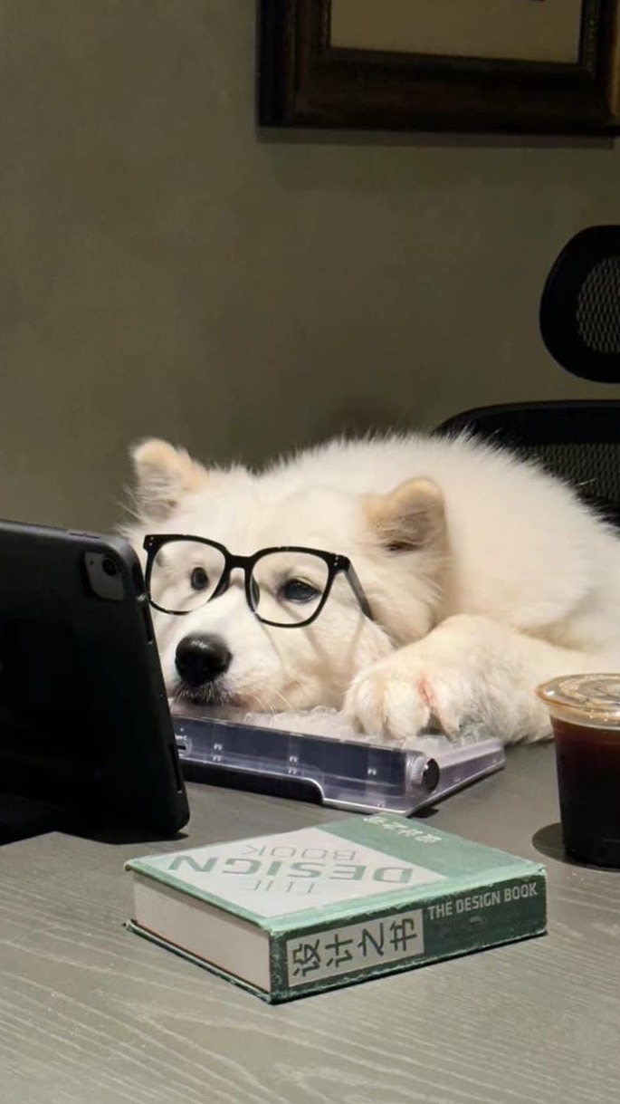 6740701313วรพัชมล