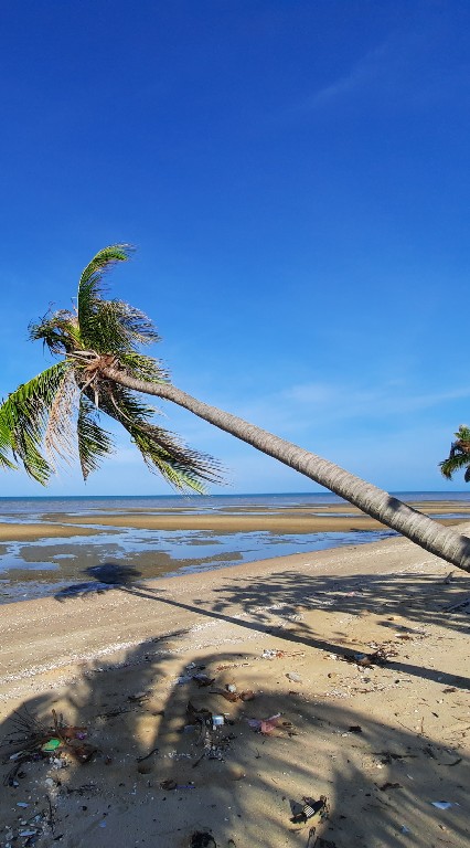 รวมพลคนอยากมีบ้านพักริมทะเล🏖