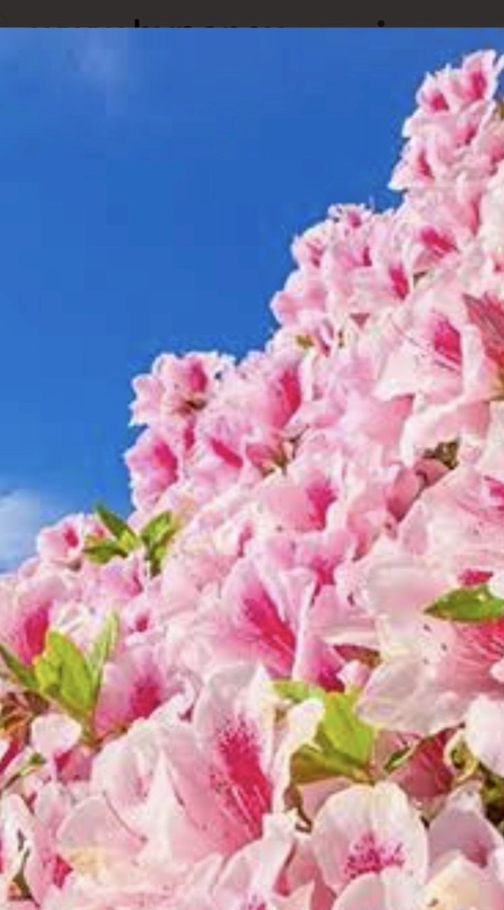 英語初心者～中級者限定。気軽にご訪問下さい　English learners!