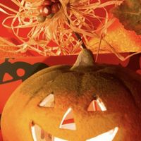 英語初心者～中級者限定。気軽にご訪問下さい　English learners!