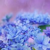 英語初心者～中級者限定。気軽にご訪問下さい　English learners!