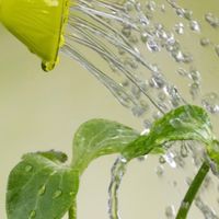 💧蝦皮遊戲互助會🪴