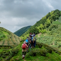 【嘉義|竹崎】嘉義四連峰。獨立山/大籠頂/太平山/梨子腳山。輕鬆悠閒的中南部健行路線