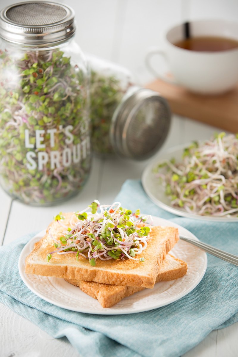 LET'S SPROUT!有機芽菜栽培組/芽菜栽培