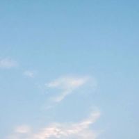 金皇奇皂時尚館