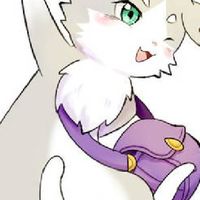 城ドラを楽しもう！