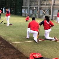 広島カープsupporter