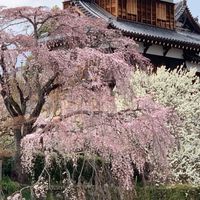 奈良！いいもの情報局