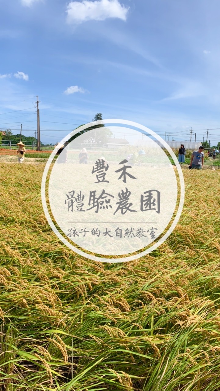 豐禾體驗農園-第一手活動資訊