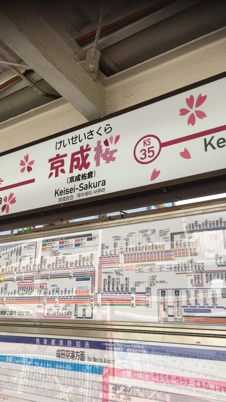 佐倉市周辺のナウなヤング達（アラサー＋）