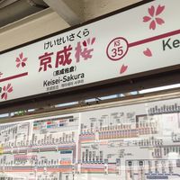 佐倉市周辺のナウなヤング達（アラサー＋）